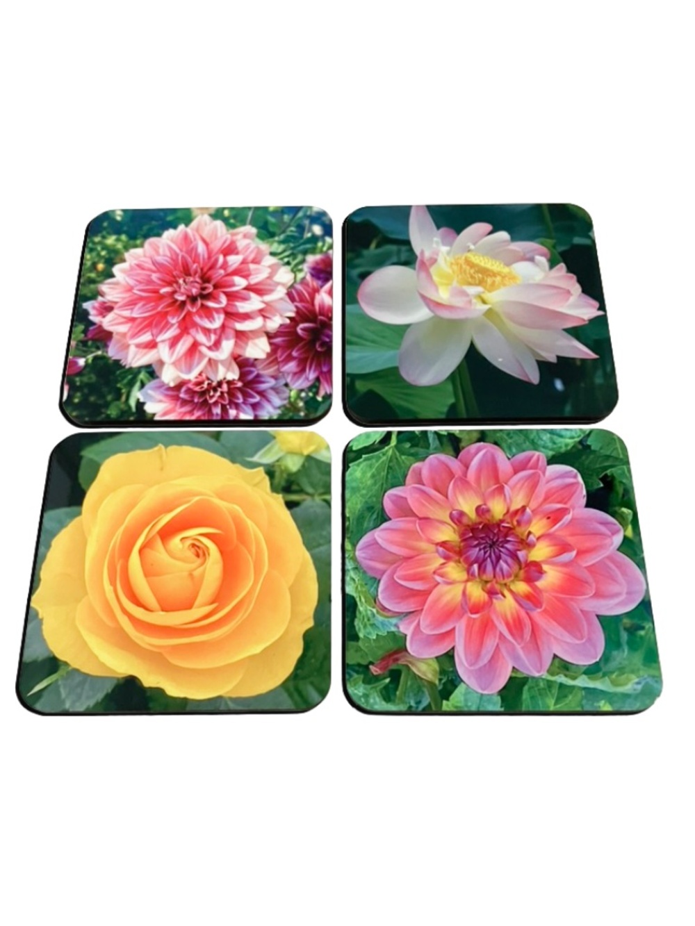 Set of four Vibrant FLORAL wooden coasters with cork backed bottoms. Yellow Rose